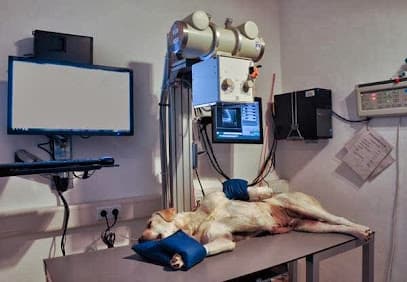 Tierarztpraxis Dr. Schaub