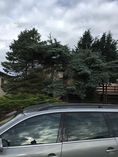 Peter Dück - Gartenpflege