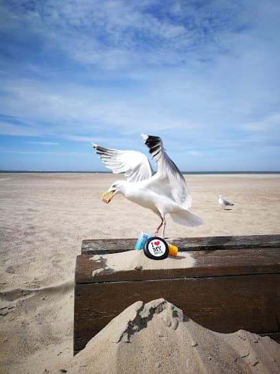 Kieferorthopädische Fachpraxis Dres. Spary