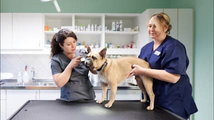 Tierarztpraxis Natalie Zitsch