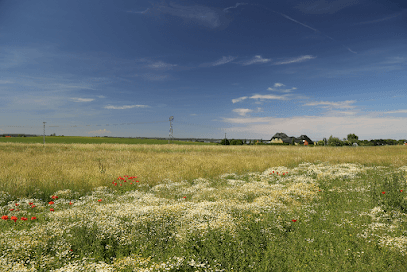 RMI Immobilien GmbH - Image 1