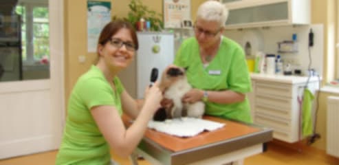 Kleintierpraxis & Tierpension Dr. med. vet. Anke Horn