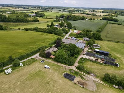Wohnmobilstellplatz Sörup - AlpacaCamping