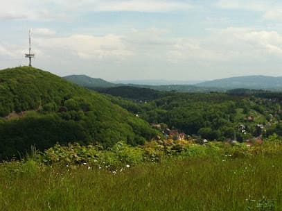 Westfalica Consulting